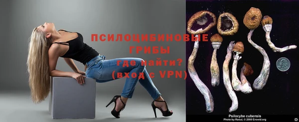 хмурый Няндома
