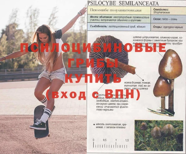apvp Куйбышев