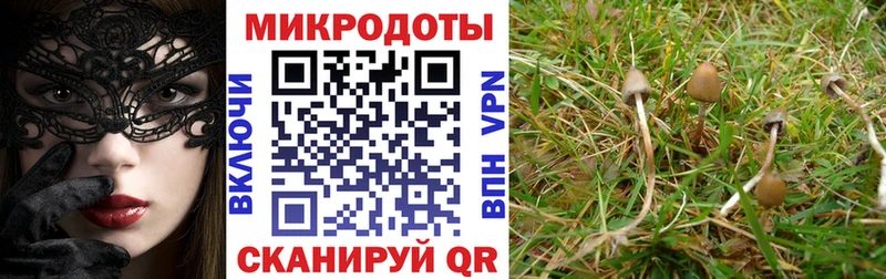 кракен зеркало  Альметьевск  Галлюциногенные грибы GOLDEN TEACHER 