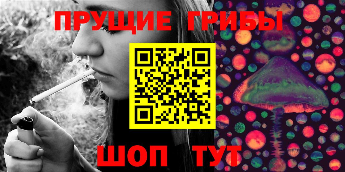 наркота  Альметьевск  Псилоцибиновые грибы Magic Shrooms 